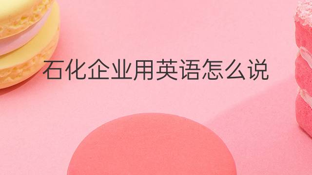 石化企业用英语怎么说 石化企业英语翻译