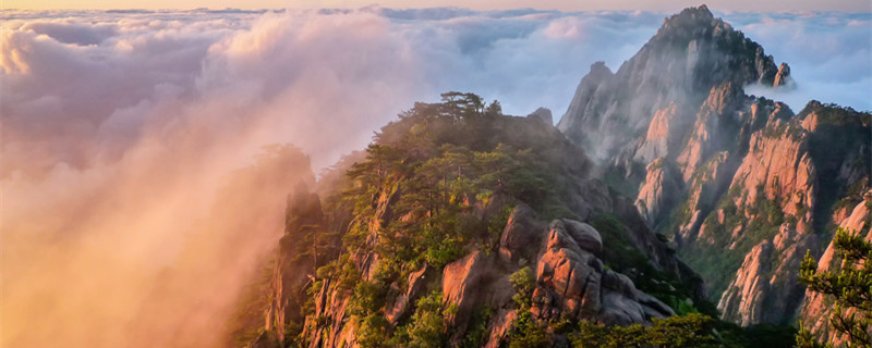 女人梦见绿绿的大山 