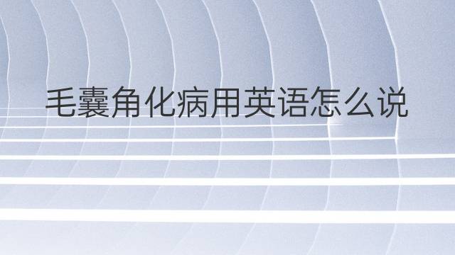 毛囊角化病用英语怎么说 毛囊角化病英语翻译