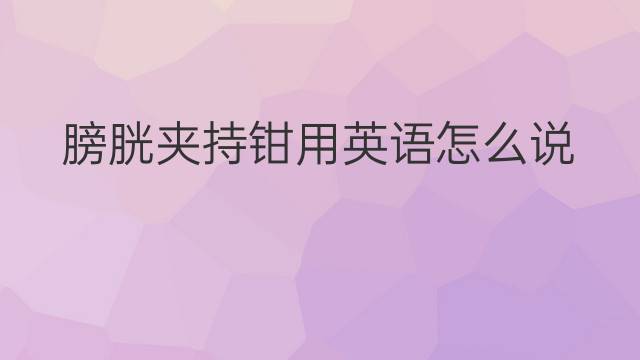 膀胱夹持钳用英语怎么说 膀胱夹持钳英语翻译