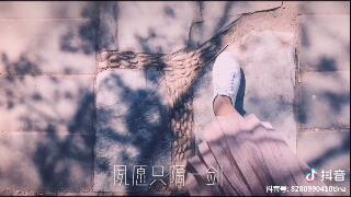 桃花吟月赋闲是什么歌_抖音桃花吟月赋闲歌曲介绍（图文）