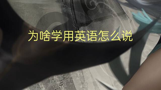 为啥学用英语怎么说 为啥学的英语翻译