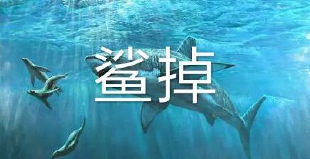 抖音当鲸鱼在海洋中死去故事完整版_故事出处介绍（图文）