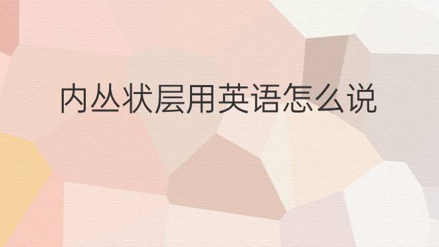 内丛状层用英语怎么说 内丛状层英语翻译