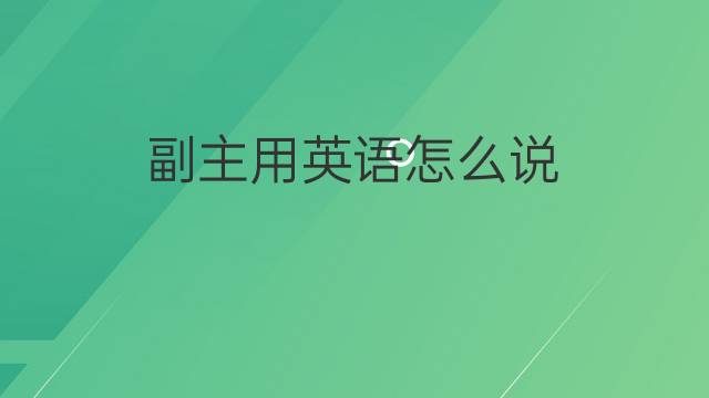 副主用英语怎么说 副主的英语翻译