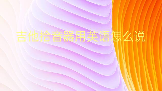 吉他拾音器用英语怎么说 吉他拾音器英语翻译