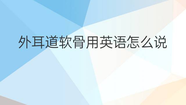 外耳道软骨用英语怎么说 外耳道软骨英语翻译