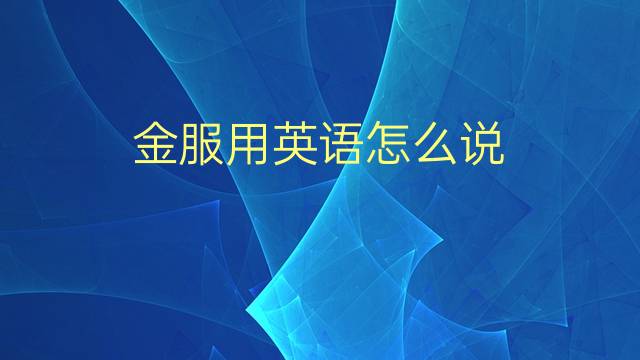 金服用英语怎么说 金服的英语翻译