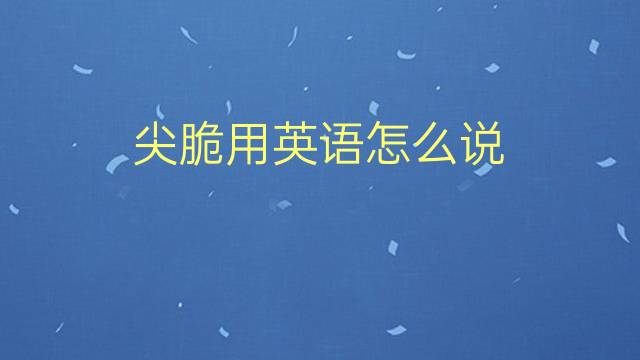 尖脆用英语怎么说 尖脆的英语翻译