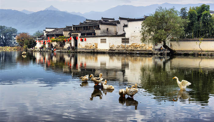 梦见下雨涨水是什么意思 