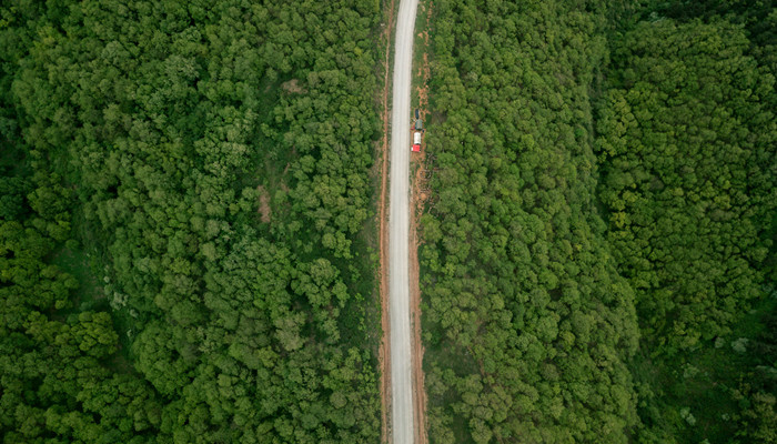 梦见自己飞着走路什么意思 