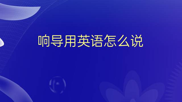 响导用英语怎么说 响导的英语翻译