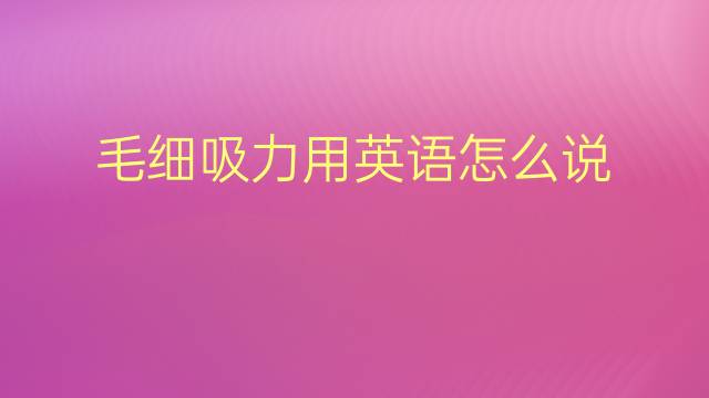 毛细吸力用英语怎么说 毛细吸力英语翻译