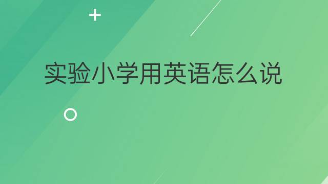 实验小学用英语怎么说 实验小学英语翻译