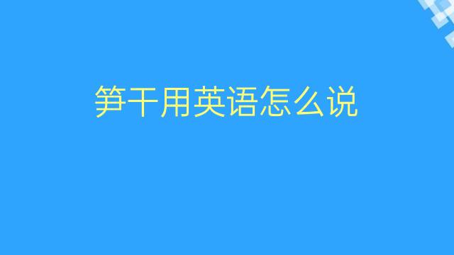 笋干用英语怎么说 笋干的英语翻译