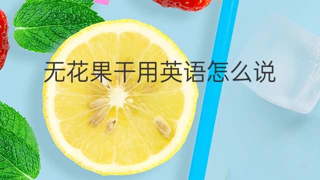 无花果干用英语怎么说 无花果干英语翻译