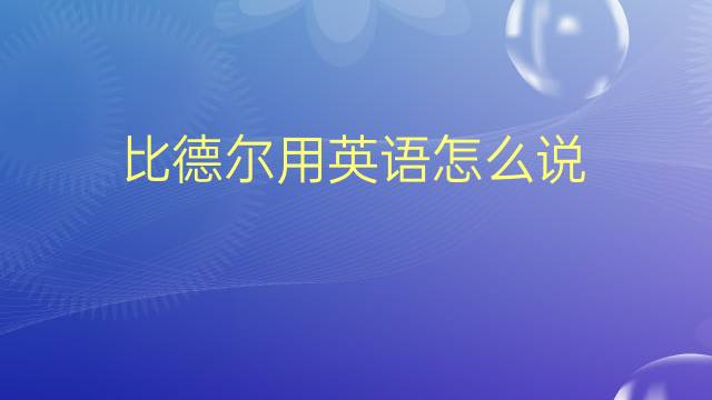 比德尔用英语怎么说 比德尔的英语翻译