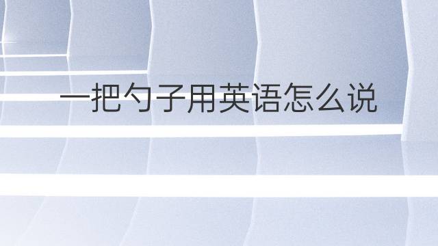 一把勺子用英语怎么说 一把勺子英语翻译