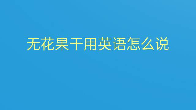 无花果干用英语怎么说 无花果干英语翻译