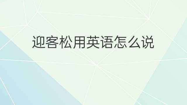 迎客松用英语怎么说 迎客松的英语翻译