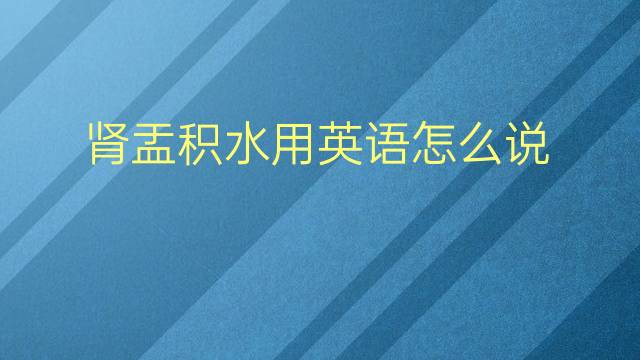 肾盂积水用英语怎么说 肾盂积水英语翻译