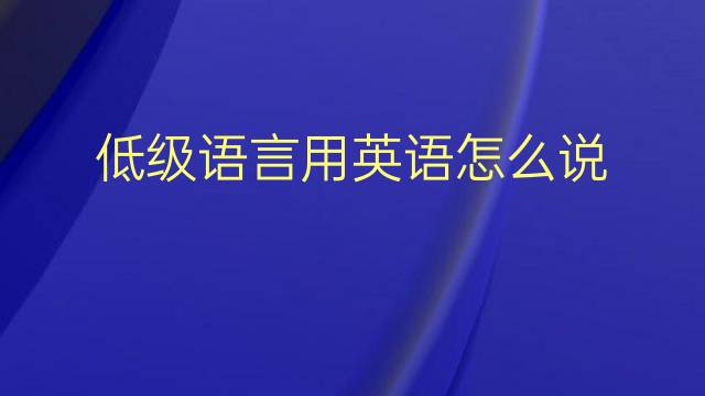 低级语言用英语怎么说 低级语言英语翻译