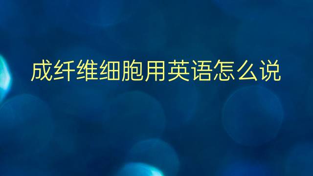 成纤维细胞用英语怎么说 成纤维细胞英语翻译