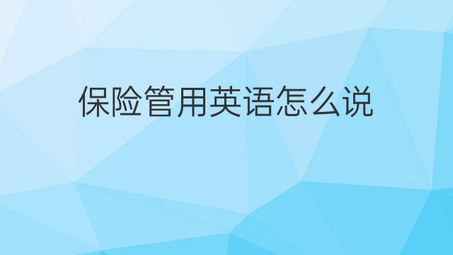 保险管用英语怎么说 保险管的英语翻译