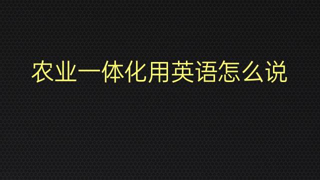 农业一体化用英语怎么说 农业一体化英语翻译