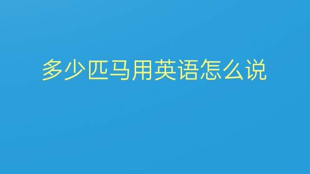 多少匹马用英语怎么说 多少匹马英语翻译