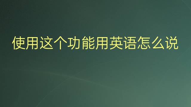 使用这个功能用英语怎么说 使用这个功能英语翻译