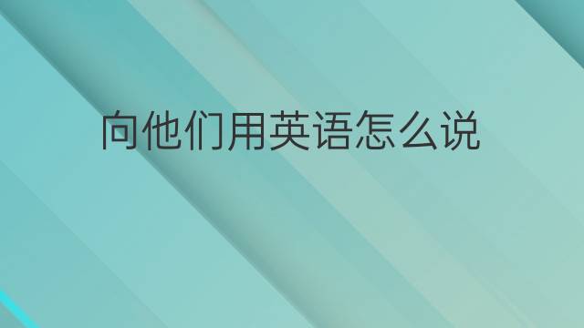 向他们用英语怎么说 向他们的英语翻译