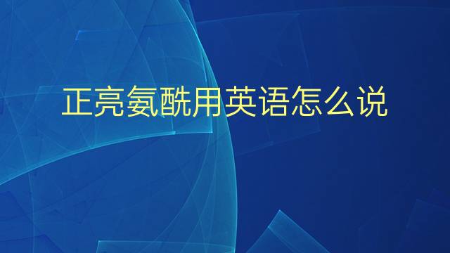 正亮氨酰用英语怎么说 正亮氨酰英语翻译