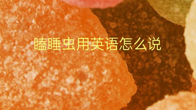 瞌睡虫用英语怎么说 瞌睡虫的英语翻译