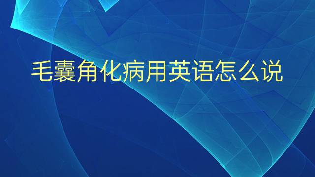 毛囊角化病用英语怎么说 毛囊角化病英语翻译