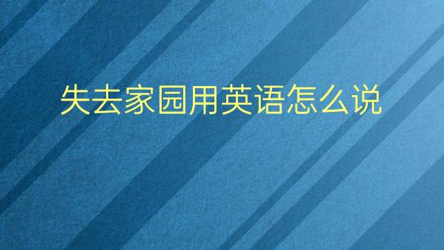 失去家园用英语怎么说 失去家园英语翻译