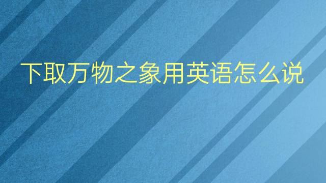 下取万物之象用英语怎么说 下取万物之象英语翻译