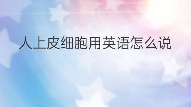 人上皮细胞用英语怎么说 人上皮细胞英语翻译