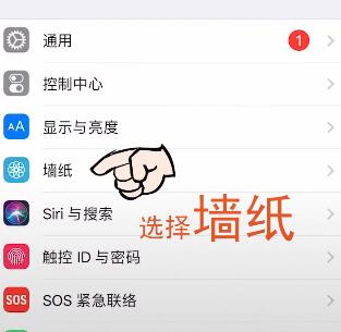 ios怎么设置抖音动态壁纸_苹果抖音动态壁纸设置教程（图文）