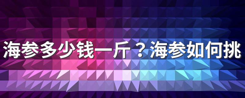 海参多少钱一斤？海参如何挑选？