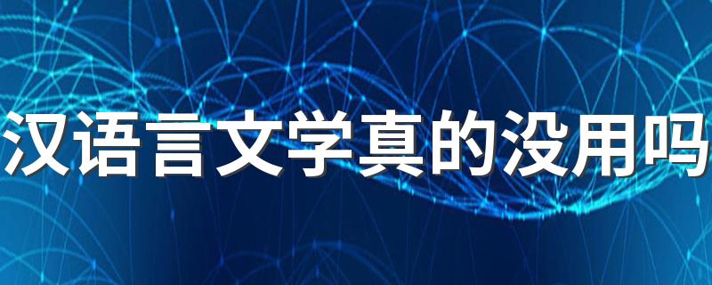 汉语言文学真的没用吗 学完还有出路吗