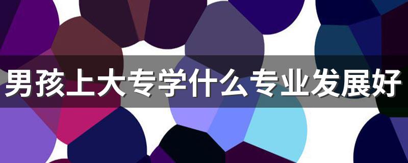 男孩上大专学什么专业发展好