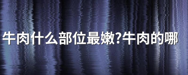 牛肉什么部位最嫩?牛肉的哪个部位比较好吃?