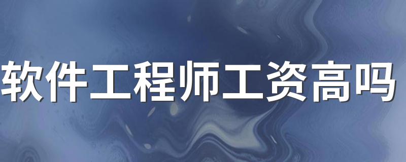 软件工程师工资高吗 每月能挣多少钱