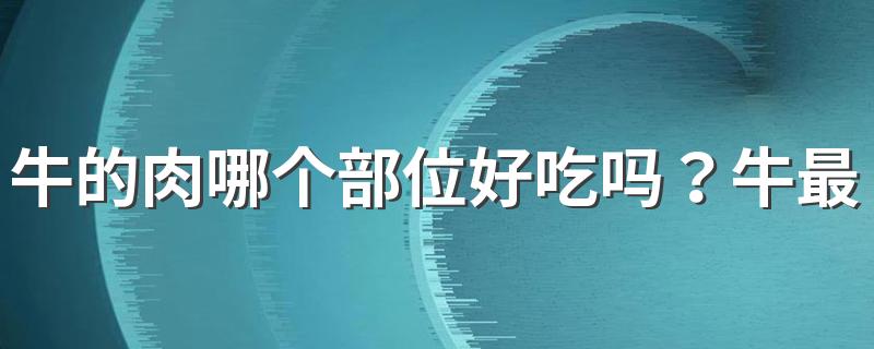 牛的肉哪个部位好吃吗？牛最好吃的部位排名