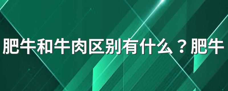 肥牛和牛肉区别有什么？肥牛的营养价值有哪些？