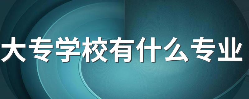 大专学校有什么专业 什么专业最吃香