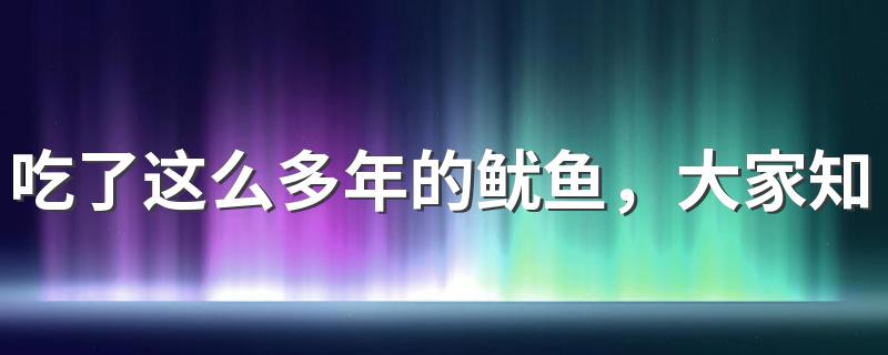 吃了这么多年的鱿鱼，大家知道中国鱿鱼之乡是哪里吗？