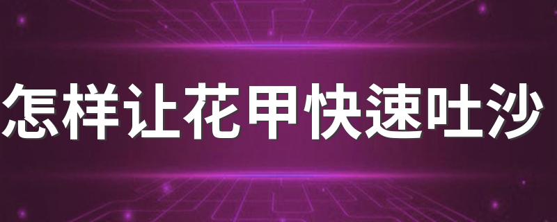 怎样让花甲快速吐沙 吃花甲的注意事项有哪些