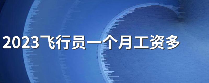 2023飞行员一个月工资多少 薪资待遇标准是怎样的